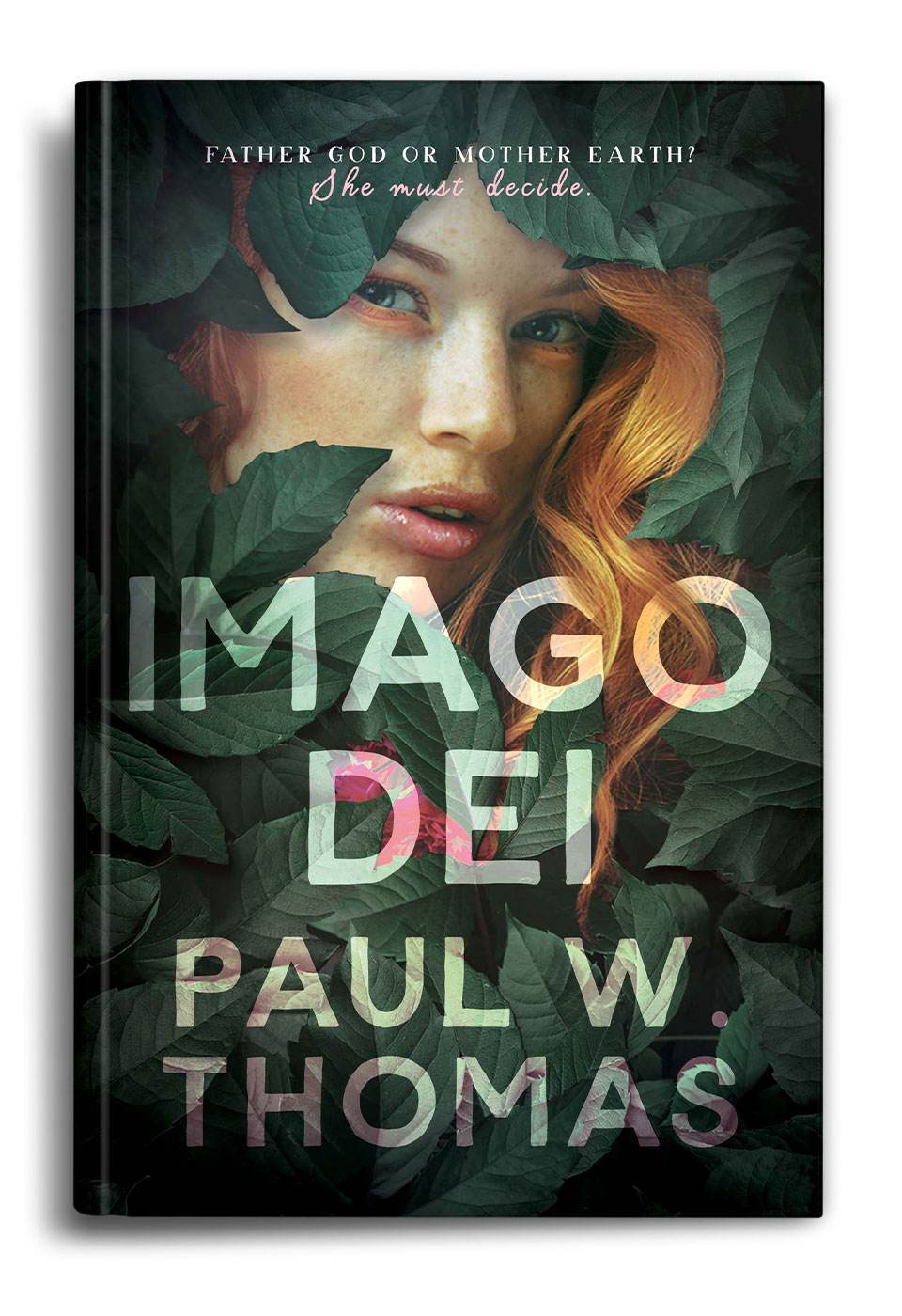 Imago Dei by Paul W Thomas