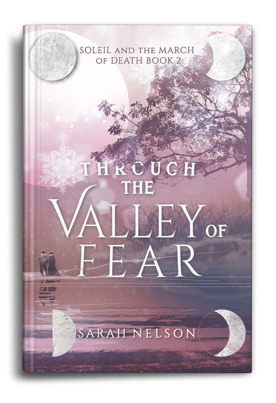 Through-The-Valley-Of-Fear-By-Sarah-Nelson